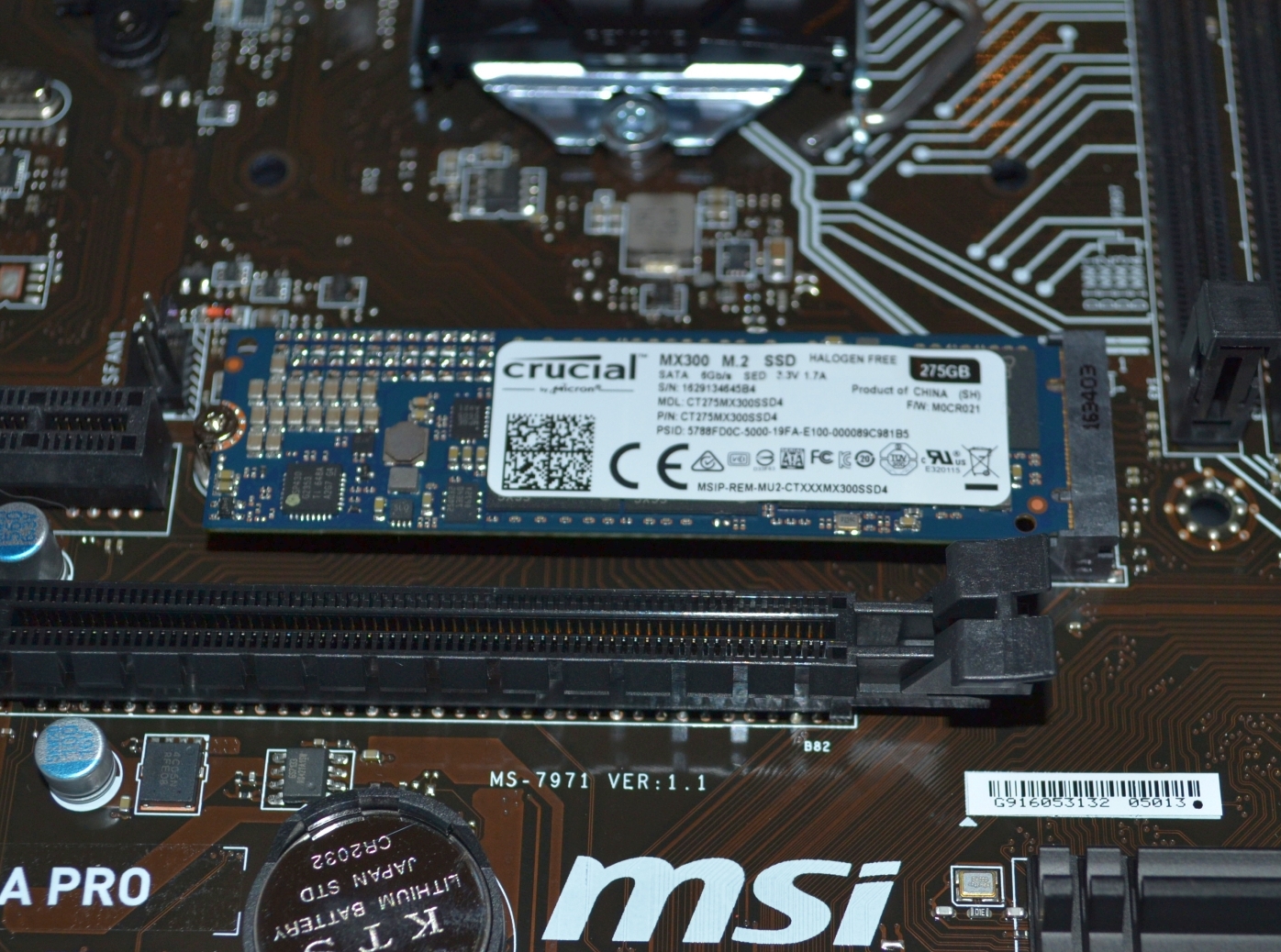 M.2 500GB SSDs 2024 Die - besten Test