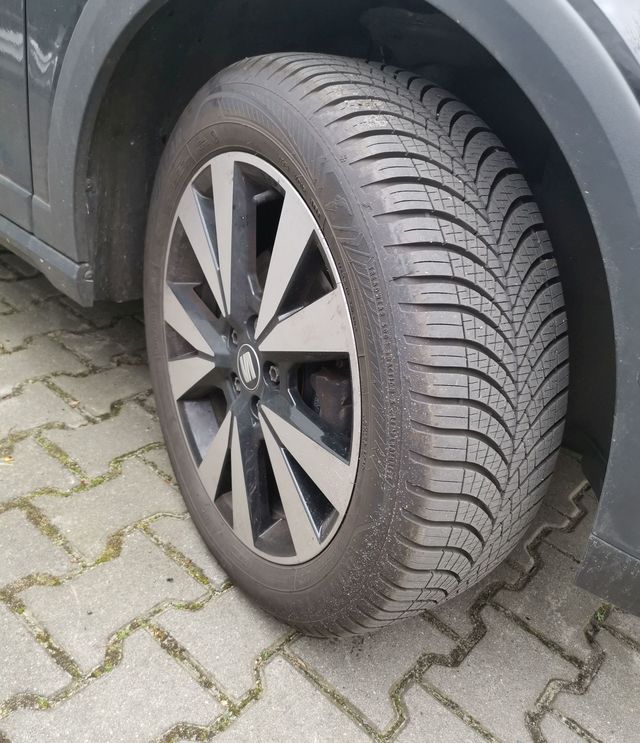 Die besten Ganzjahresreifen in 205/55 R16 - Test 2024